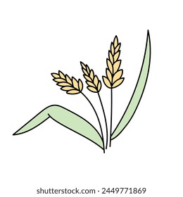 Wheat, cereals in doodle style. Vector illustration .