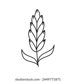 Wheat, cereals in doodle style. Vector illustration .