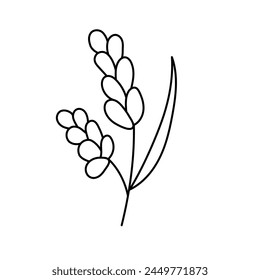 Wheat, cereals in doodle style. Vector illustration .