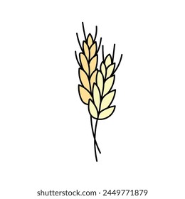 Wheat, cereals in doodle style. Vector illustration .