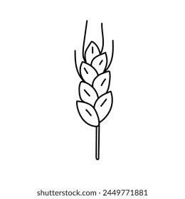 Wheat, cereals in doodle style. Vector illustration .