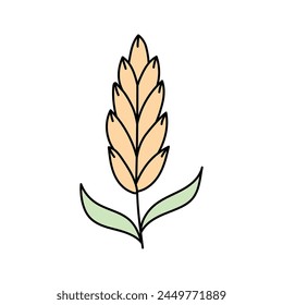 Wheat, cereals in doodle style. Vector illustration .