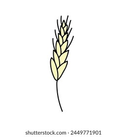 Wheat, cereals in doodle style. Vector illustration .