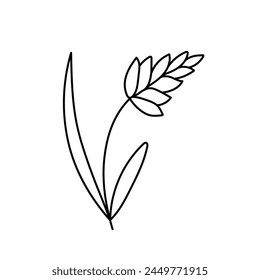 Wheat, cereals in doodle style. Vector illustration .