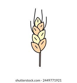 Wheat, cereals in doodle style. Vector illustration .
