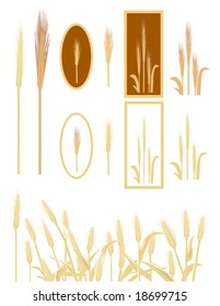 Wheat Collection vector is original artwork.