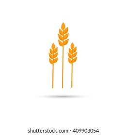 Wheat color icon