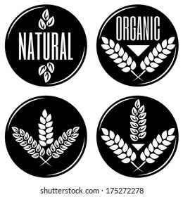 Wheat composition in vector