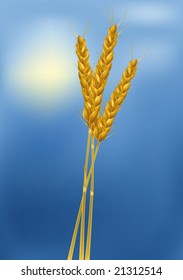 wheat cones