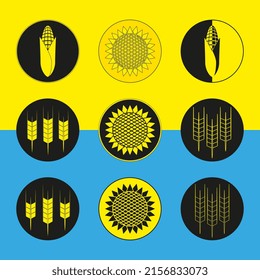 Wheat, corn and sunflower icons set. Vector illustration. Icons on the yellow-blue flag of Ukraine.
