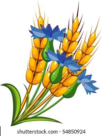 Wheat with cornflowers