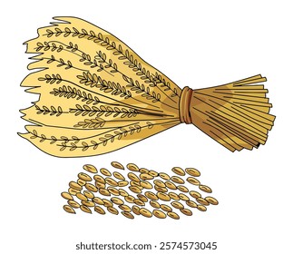 Wheat crown isolated on white background