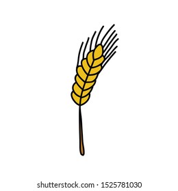 wheat doodle icon, vector illustration
