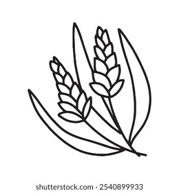 Wheat in doodle style. Vector isolated on white background