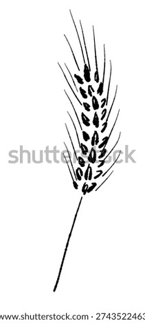 Wheat Ear Barley Single Curved Monochrome