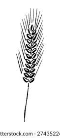 Wheat Ear Barley Single Straight Monochrome