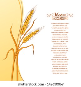 Wheat ear card. Vector illustration.