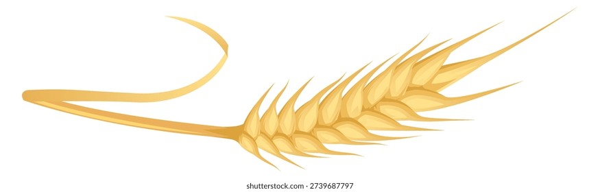Wheat ear cartoon icon. Ripe farm crop 