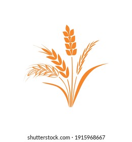 Wheat ear ears icons set. Vector illustration isolated on white background.