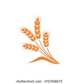 Wheat ear ears icons set. Vector illustration isolated on white background.