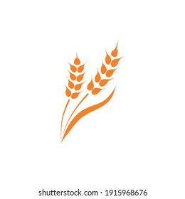 Wheat ear ears icons set. Vector illustration isolated on white background.