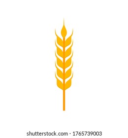 Wheat ear flat, Golden wheat ears icon, vector illustration isolated on white background