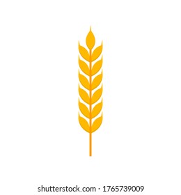 Wheat ear flat, Golden wheat ears icon, vector illustration isolated on white background