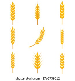 Wheat ear flat, Golden wheat ears icon, vector illustration isolated on white background