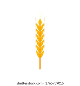 Wheat ear flat, Golden wheat ears icon, vector illustration isolated on white background