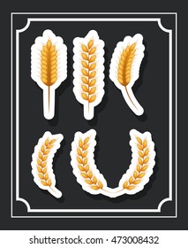 wheat ear gold yellow agriculture con. Colorful and Flat design. Vector illustration