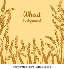 Wheat ear golden sketch frame background. Design template cereals ripe spike wheat, border pattern. Agricultural doodle symbol, flour production. Organic farm elements, bread beer packaging label