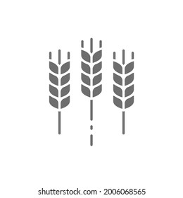 Oreja de trigo, icono gris de grano. Aislado sobre fondo blanco