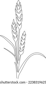 Wheat ear grain. Minimalistic line art. Continuous one line drawing - cereal bakery icon concept. Vector illustration.