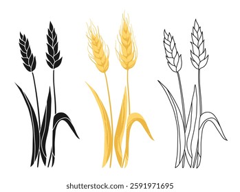 Wheat ear hand drawn set. Grain sign doodle line, silhouette, cartoon flat style collection. Wheat ear spikes icon. Cereals grain, agriculture, stalk, bread food, harvest symbol. Vector illustration