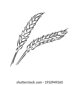 Wheat Ear Handmade vector
