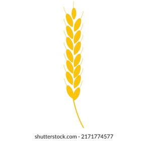 Wheat ear. Harvest, agriculture. wheat logo. Icon.