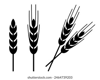Wheat ear icon, black silhouette isolated on white. Spikelet of wheat, rye or barley with awn, stencil style. Vector clipart, minimalist sign or simple logo for agriculture or farming design.