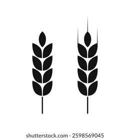 Wheat ear icon. Cereal icon on white background. Grain icon vector logo design. Agriculture symbol.