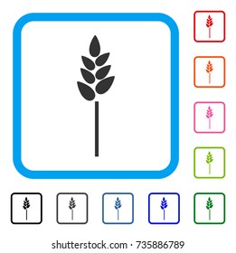 Wheat Ear icon. Flat gray pictogram symbol in a light blue rounded square. Black, gray, green, blue, red, orange color versions of Wheat Ear vector. Designed for web and software interfaces.