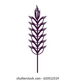 Wheat ear icon. Food grain agriculture and natural theme. Isolated design. Vector illustration