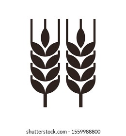 Wheat ear icon isolated on white background