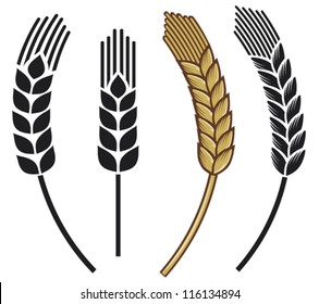 wheat ear icon set