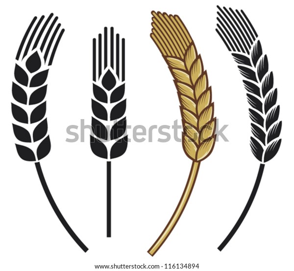 wheat ear icon\
set
