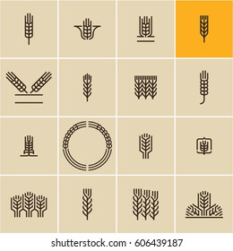 Wheat ear icon set, wheat ears, cereals,