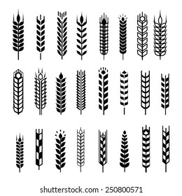 Wheat ear icon set, leaves icons, graphic design elements, black isolated on white background, vector illustration.