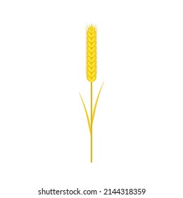 Wheat ear icon. Vector illustration. 