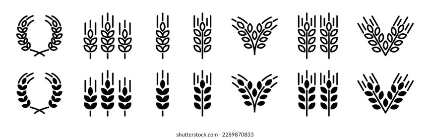 Wheat ear icon vector set. Grain icons collection in line and flat style. Wheat icon on white background. Cereals grain, agriculture, rice stalk, bread, food, harvest symbol. Vector illustration