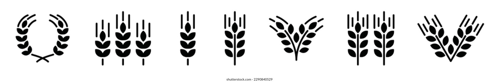 Juego de vectores de icono de oído de trigo. Colección de iconos de grano en estilo plano. Icono de trigo sobre fondo blanco. Grano de cereales, agricultura, tallo de arroz, pan, comida, naturaleza, símbolo de cosecha. Ilustración del vector