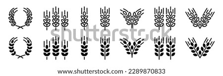 Wheat ear icon vector set. Grain icons collection in line and flat style. Wheat icon on white background. Cereals grain, agriculture, rice stalk, bread, food, harvest symbol. Vector illustration