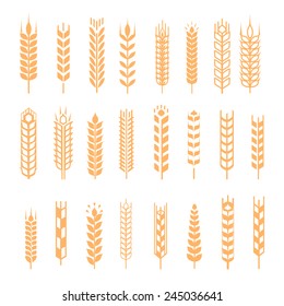 wheat ear icons set  and design elements for bakery and  beer  labels vector